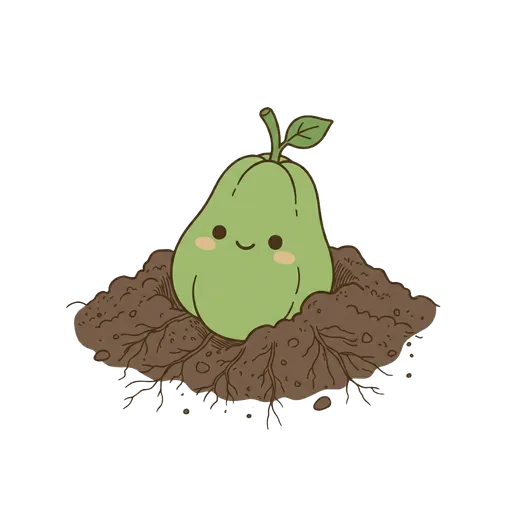 Choko