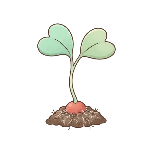 Radish Sprouts