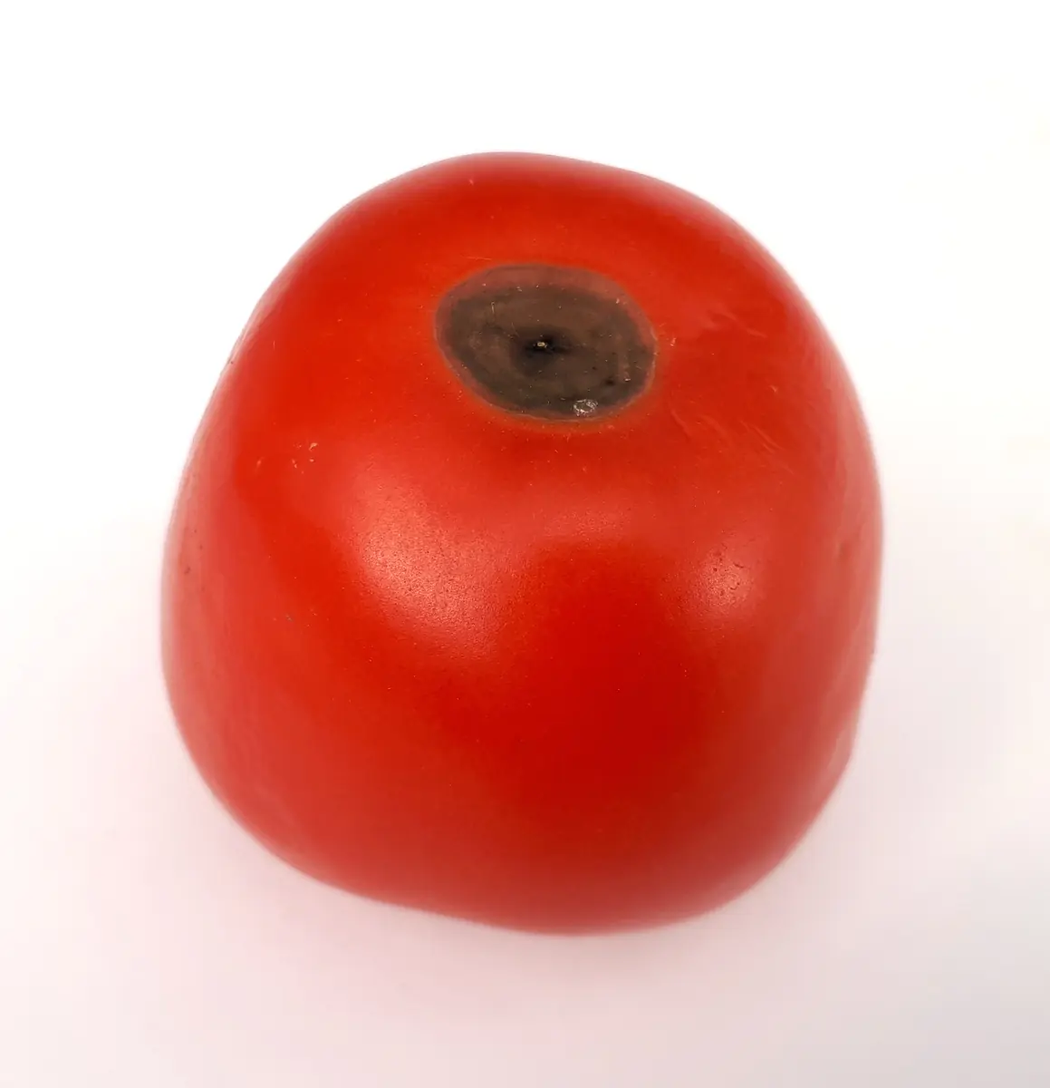 Red tomato with a sunken, dark leathery patch on the blossom end