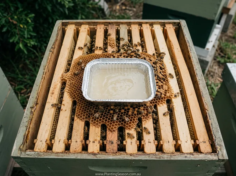 Thymol gel trays